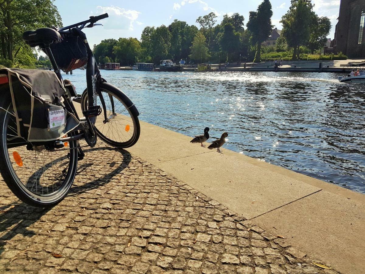Pension Zum Birnbaum Brandenburg  Esterno foto